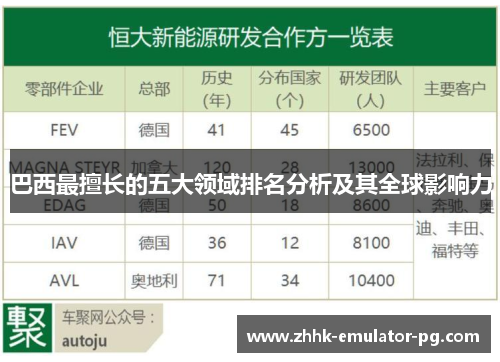 巴西最擅长的五大领域排名分析及其全球影响力