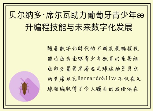 贝尔纳多·席尔瓦助力葡萄牙青少年提升编程技能与未来数字化发展
