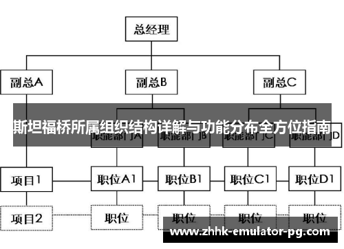 斯坦福桥所属组织结构详解与功能分布全方位指南