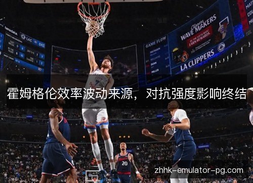 霍姆格伦效率波动来源，对抗强度影响终结